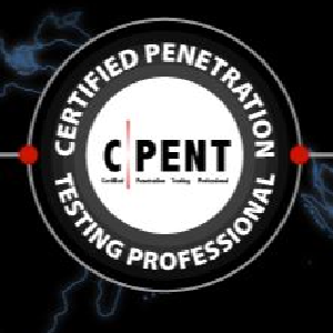 cat certification academy - Cpent
