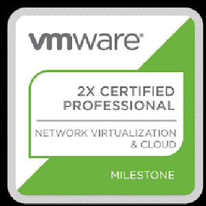 cat certification academy - Vmware Professional - NV & Cloud