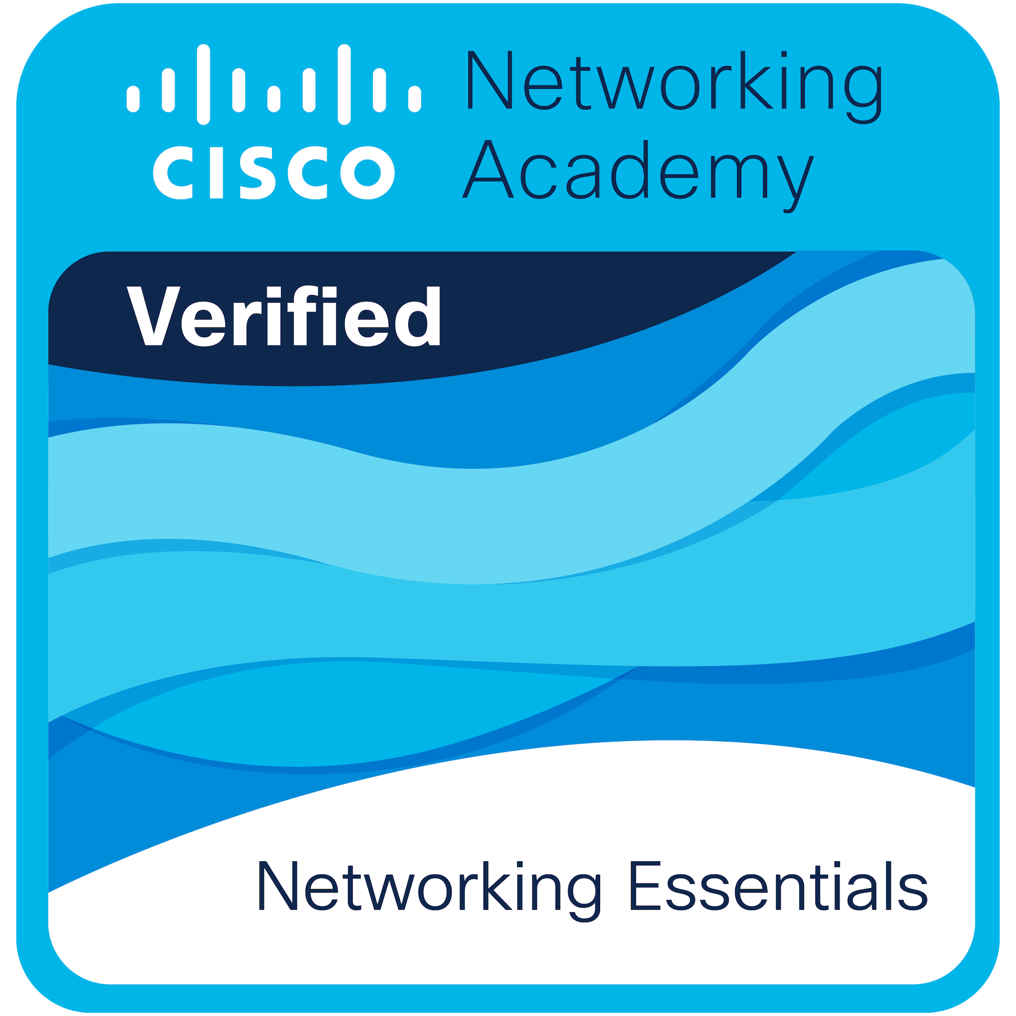 cat certification Networking Essentials
