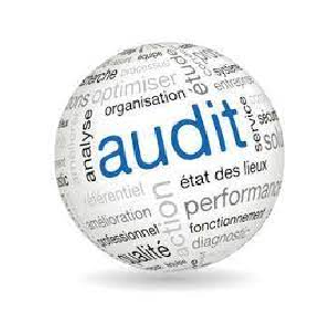Gestion de l’Audit Certifié en Systèmes d'Information